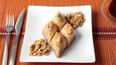 plating-instructions-image